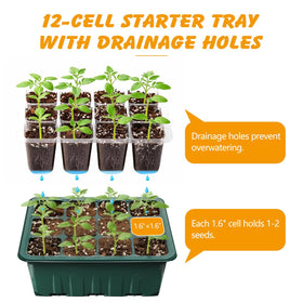 ondware complete starter kit with domes trays markers and tool kit