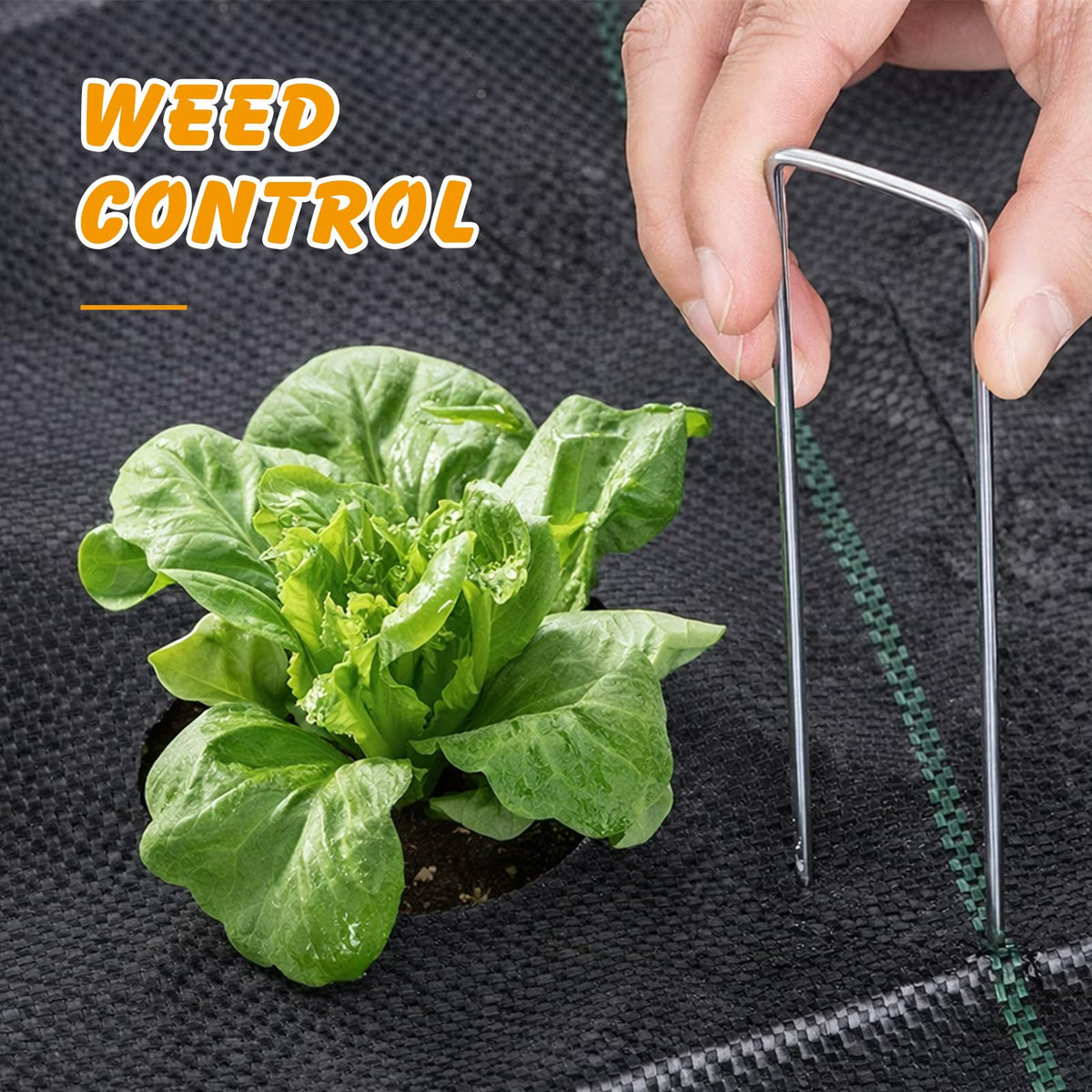 Ondware guide lines on the fabric enable precise cuts and alignment for faster setup.