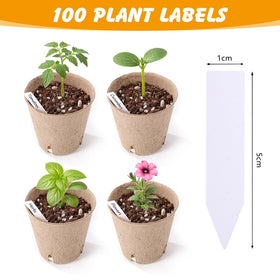 ondware plant labels 100-count for clear seed tracking and organization.
