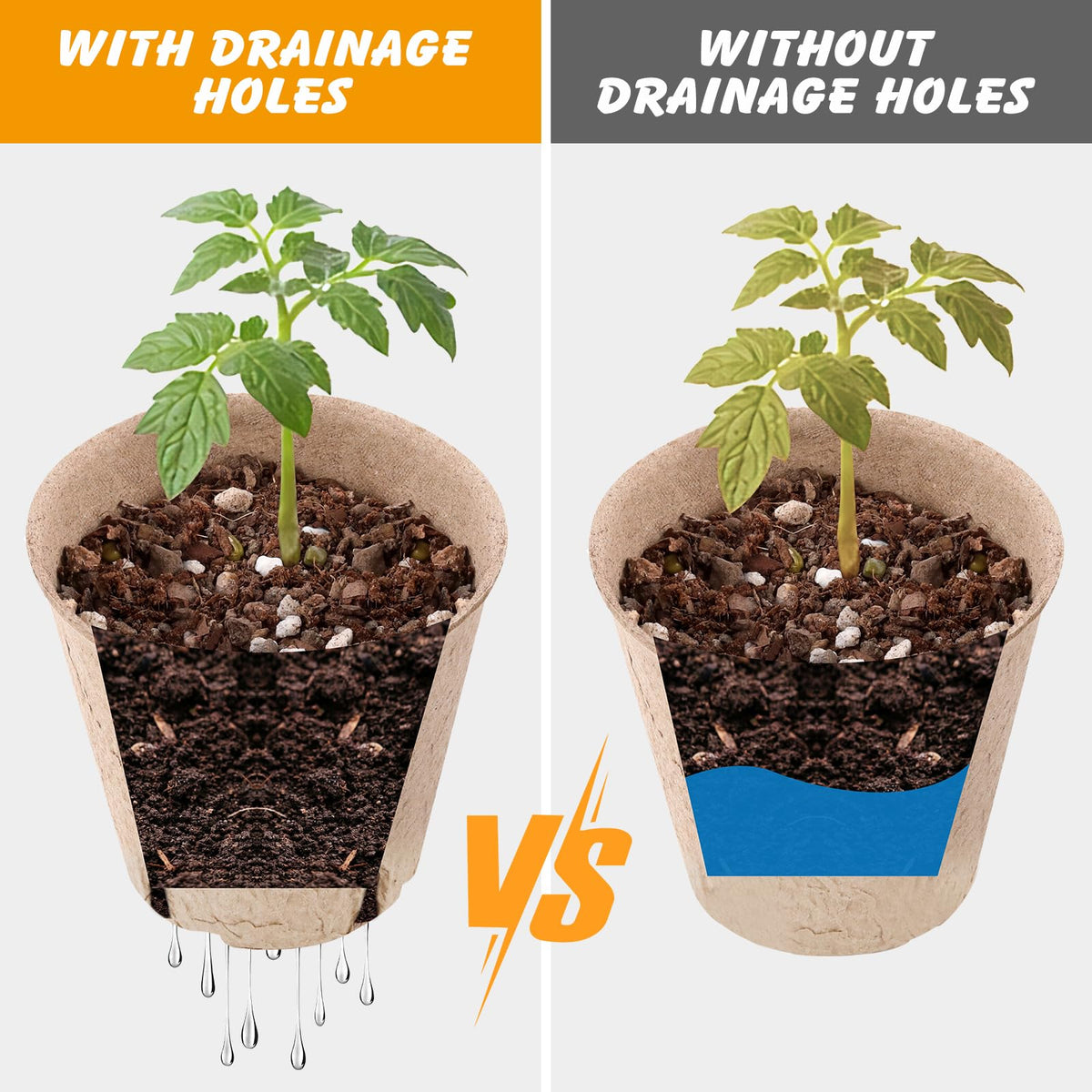 ondware seed starting kit for versatile indoor and outdoor gardening.