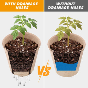ondware seed starting kit for versatile indoor and outdoor gardening.
