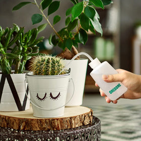 ONEDONE 8oz squeeze bottle targets base watering for small pots.