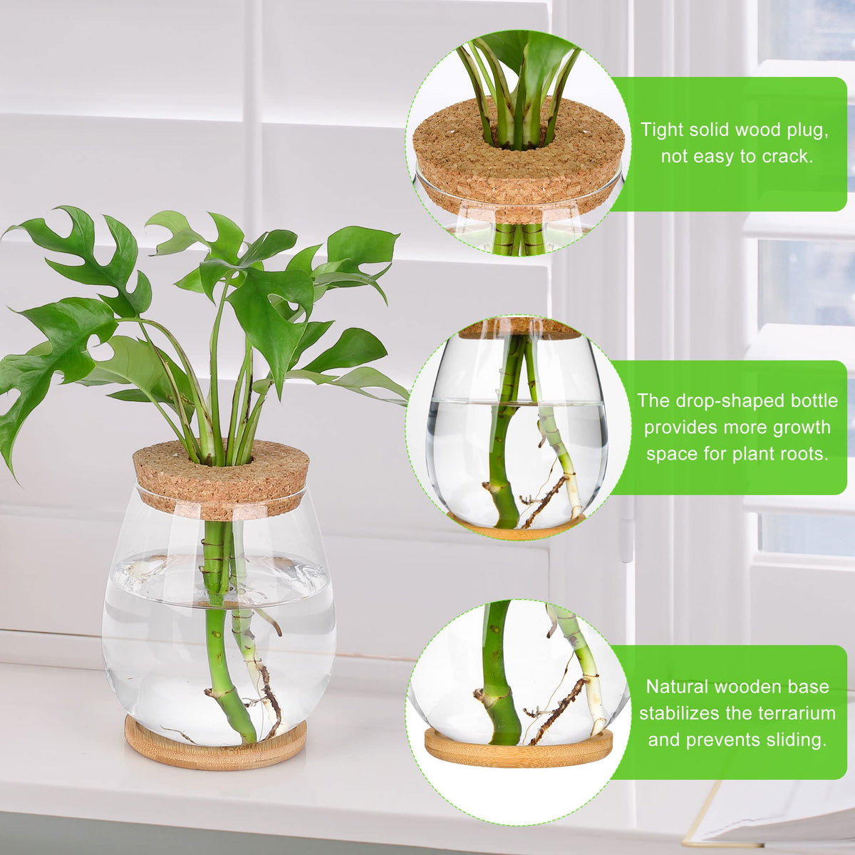 Onepeng propagation vases on a tabletop showing elegant decor