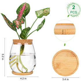 Onepeng propagation vases with wooden plug and tray base for sturdy display