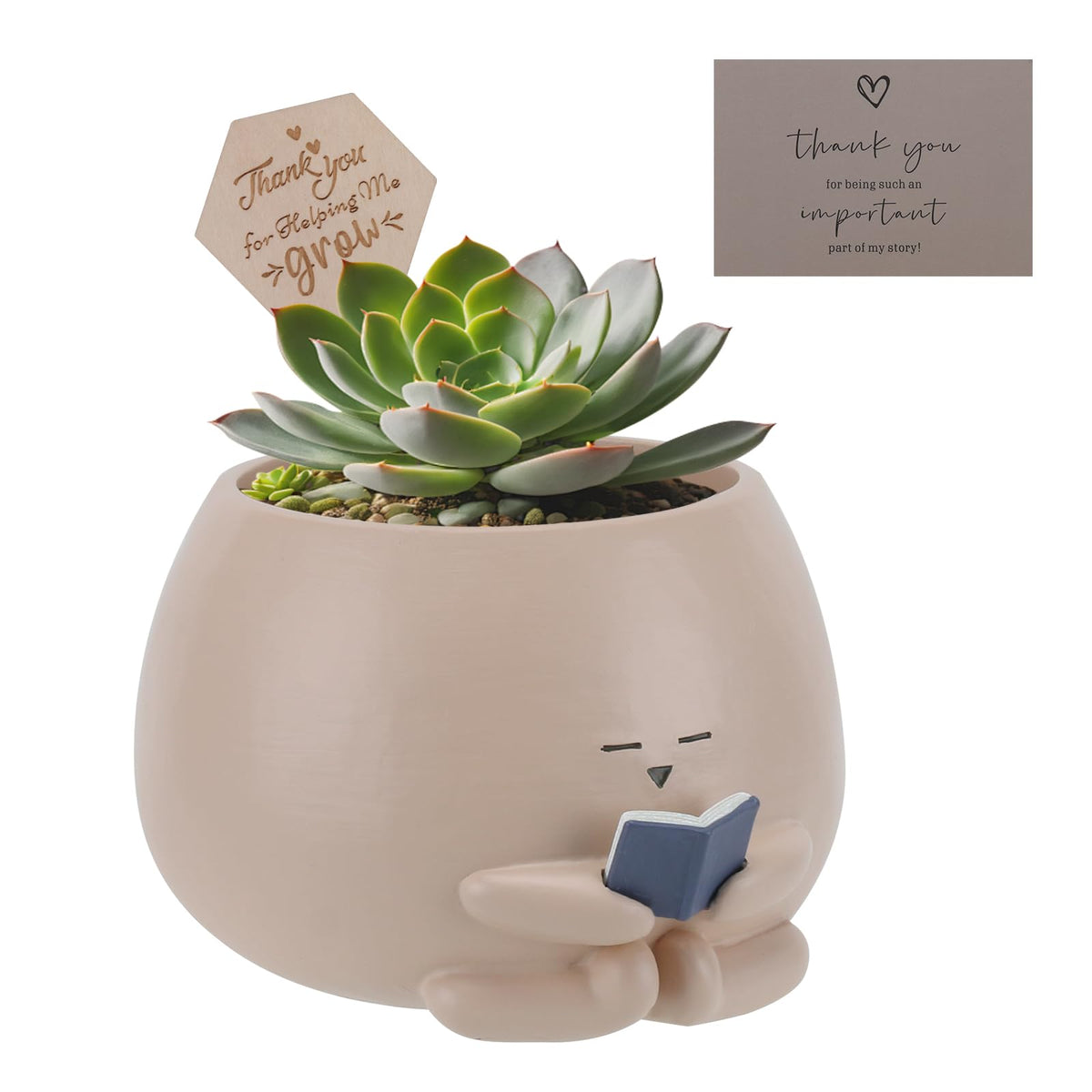 Onzbala Bookworm Planter Pot, cute reading nook planter for succulents and small plants
