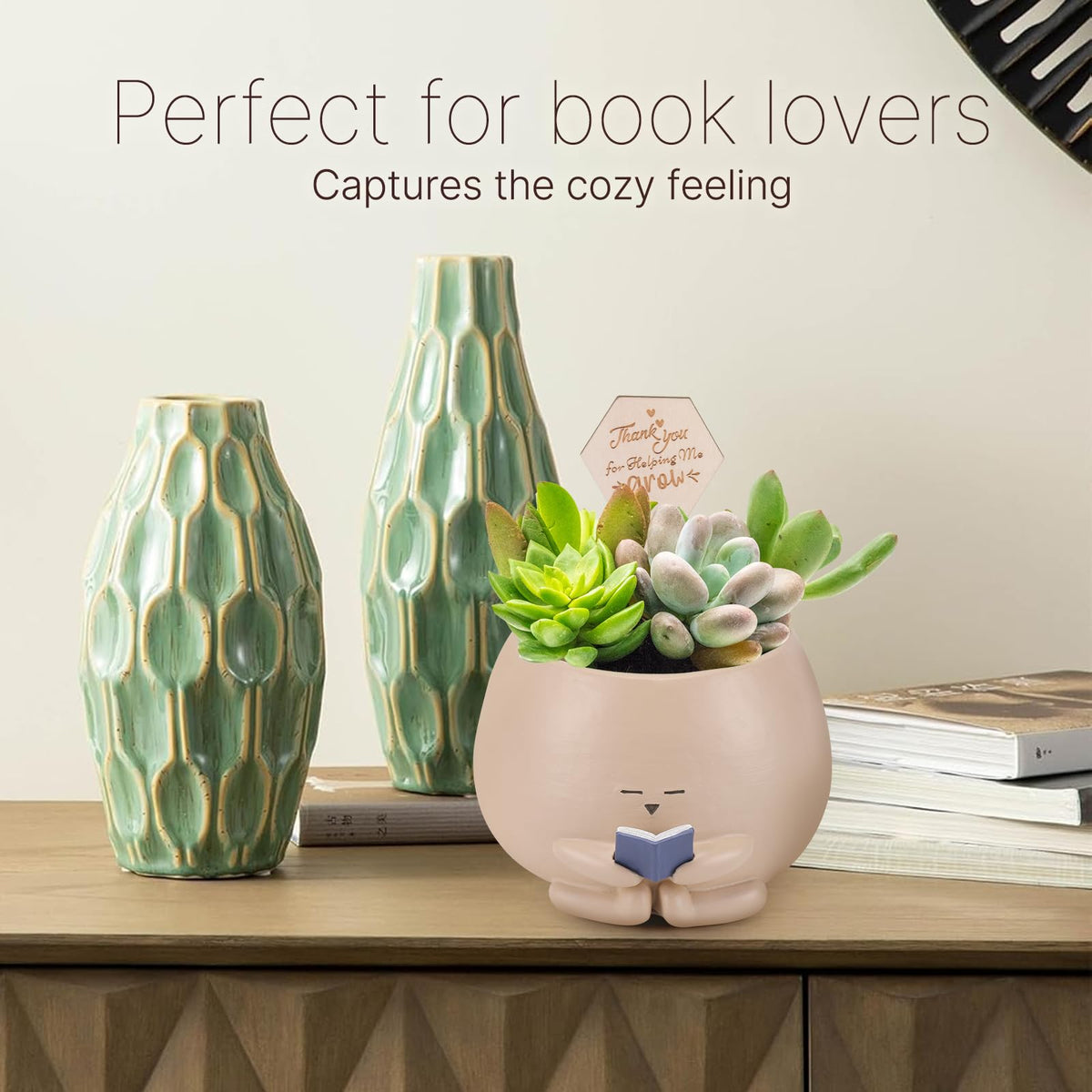 Onzbala Indoor-Outdoor Succulent Decor, weatherproof and fade-resistant planter for any space