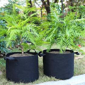 OPPOLIFE pack of 5 gallon grow bags ideal for vegetables, herbs, and seedlings.