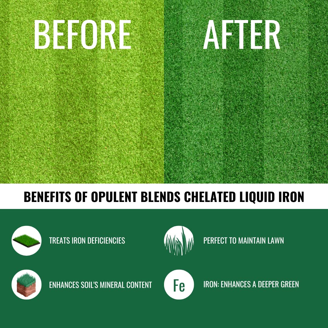 Opulent Blends Chelated Liquid Iron application on lawn for vibrant color and healthy growth.