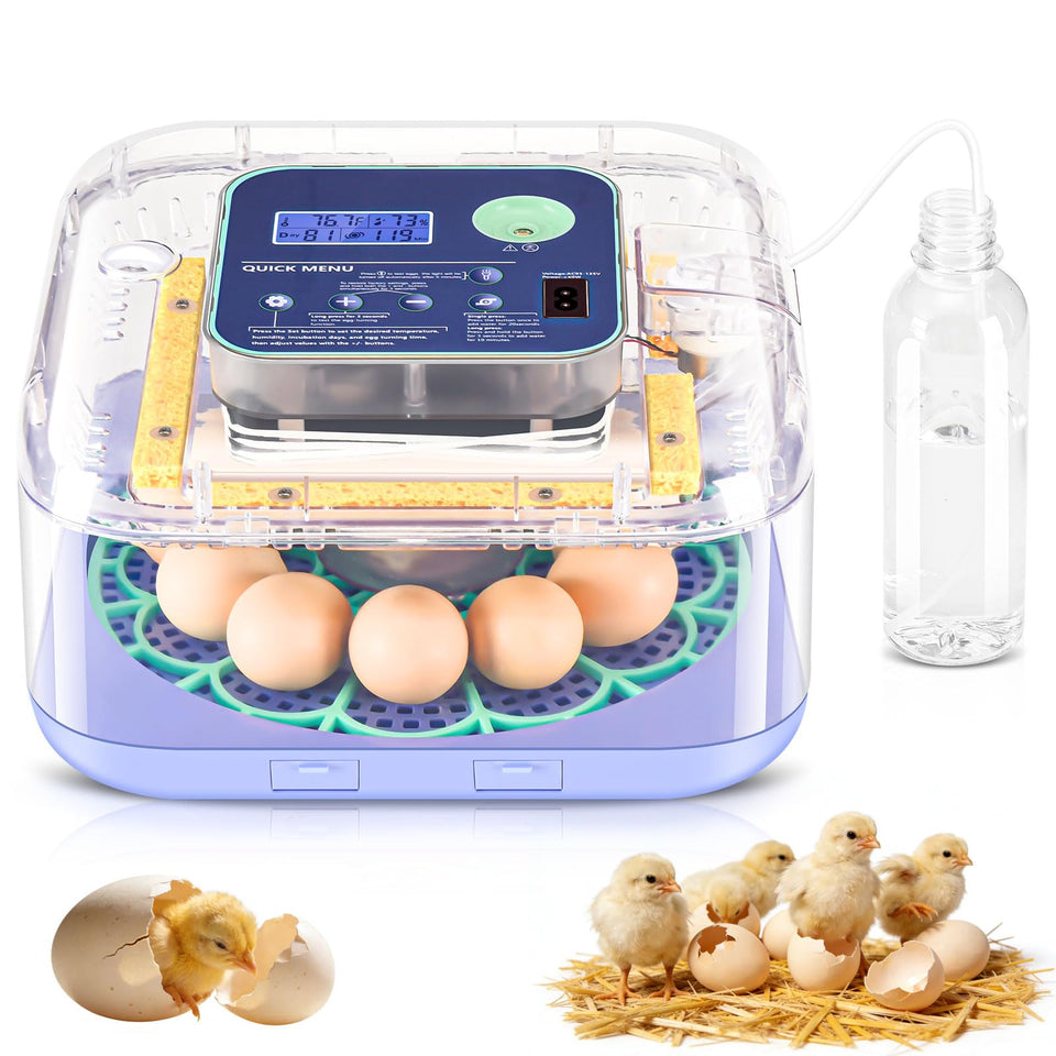 Oqioprd incubator showing 12-chicken-egg capacity for home and farm hatch planning