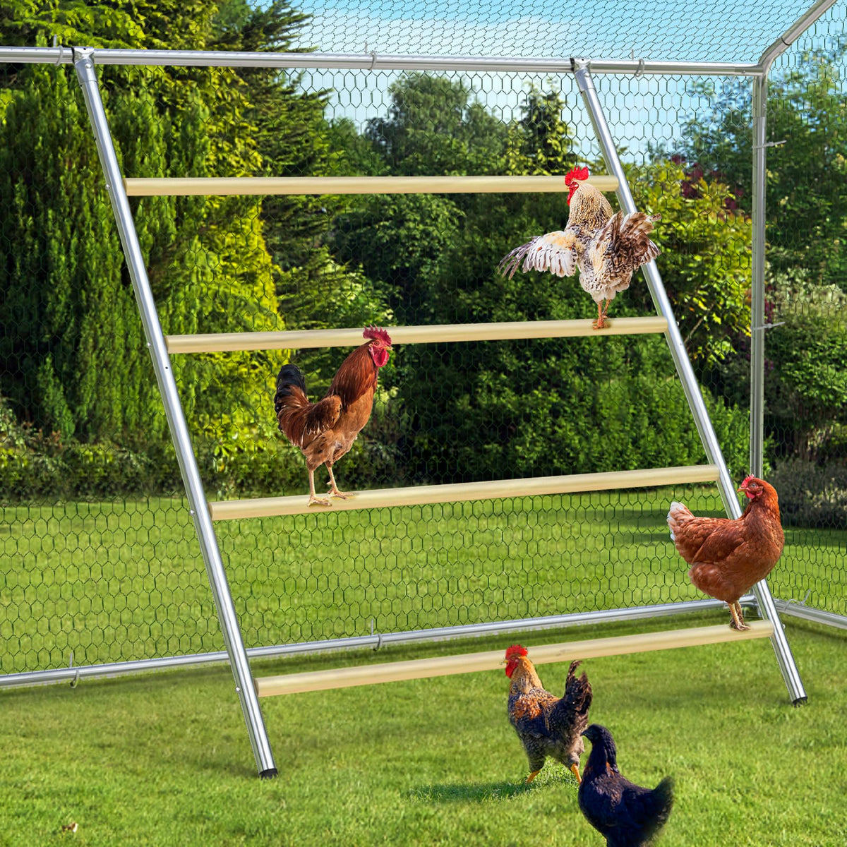 Oranland chicken coop roosting perch 56l-41.5w with multi-level design for safer perching.