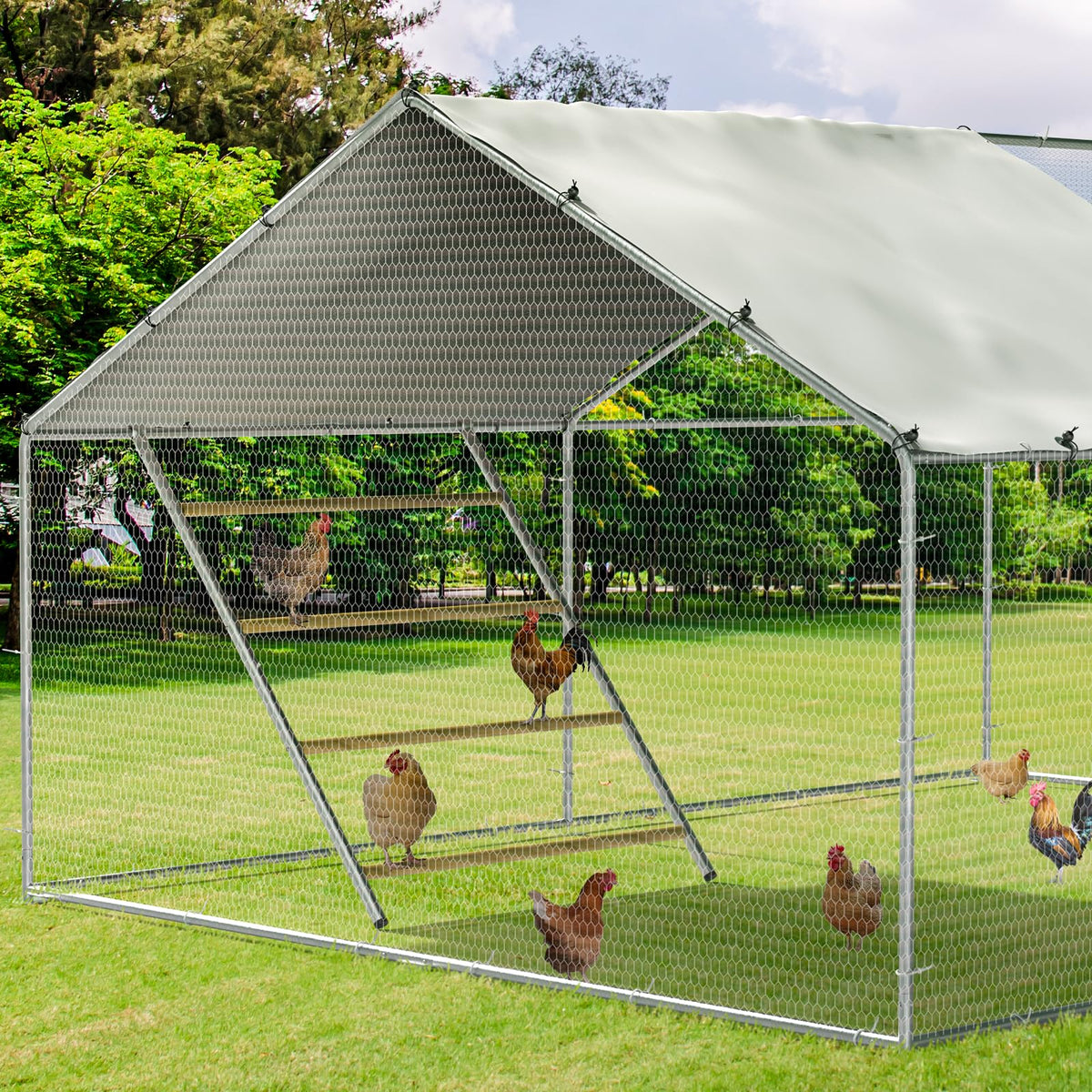 Oranland chicken perch sturdy material enhances durability in sun and weather.