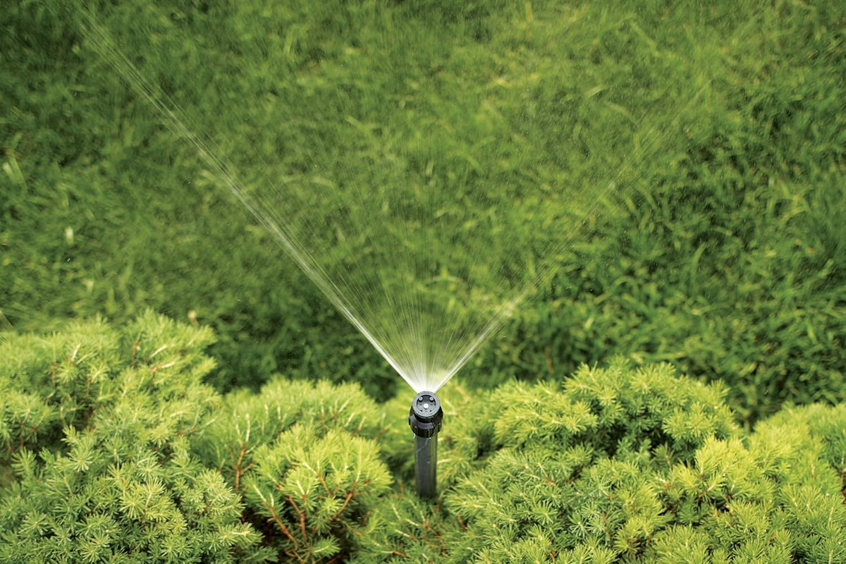 Orbit Watermaster quarter-circle sprinkler head for narrow shrub borders.