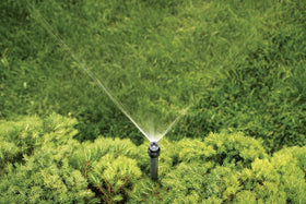 Orbit Watermaster quarter-circle sprinkler head for narrow shrub borders.