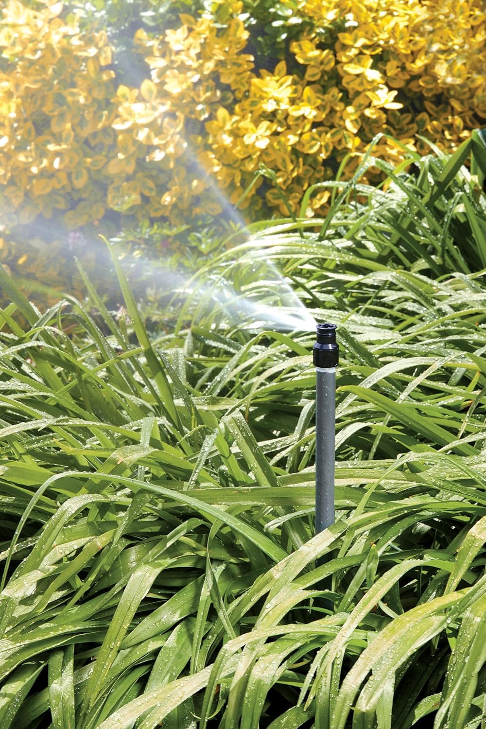 Orbit Watermaster sprinkler head design minimizes overspray near planting beds.