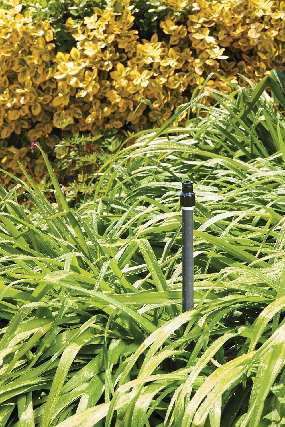 Orbit Watermaster shrub spray head fits compact landscapes for even distribution.