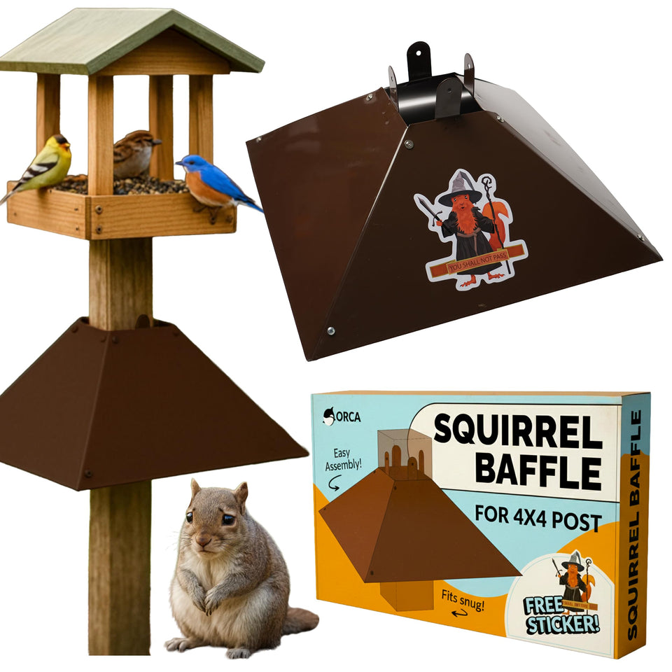 Orca Squirrel Baffle mounted on a 4x4 post shielding the feeder with a wide metal shield