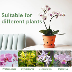 Orceler 3-pack ideal for indoor plant displays or classroom craft projects.