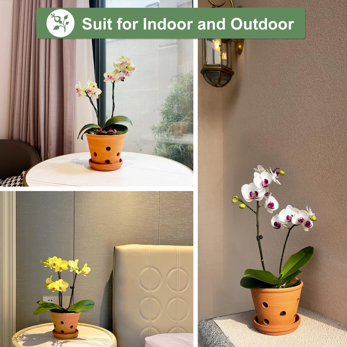 Orceler 6-inch pot suits orchids, African Violets, or succulents in homes or patios.