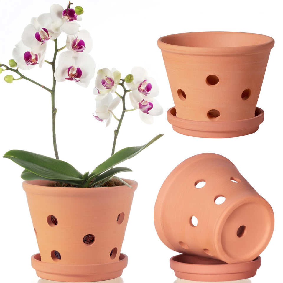 Orceler 6-inch terracotta orchid pot with holes promotes airflow for healthy roots.
