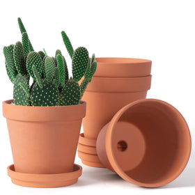 Orceler 6 inch terracotta pot with saucer for indoor plants and drainage.
