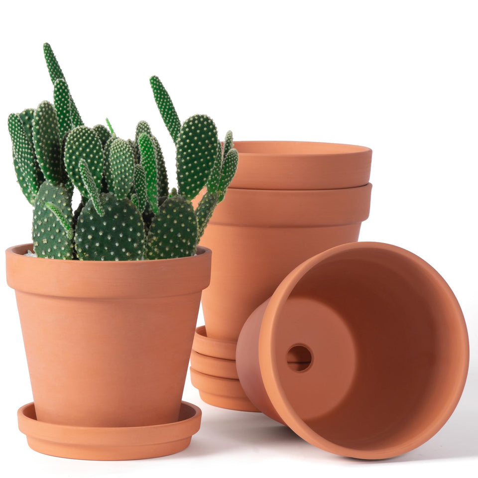 Orceler 6 inch terracotta pot with saucer for indoor plants and drainage.
