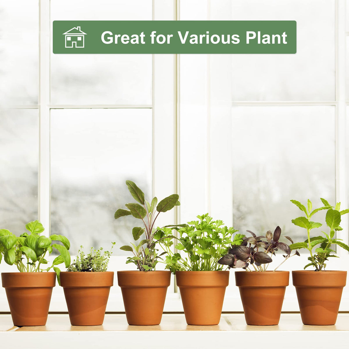 Orceler 6-pack clay plant pots deliver lightweight, breathable home for herbs.