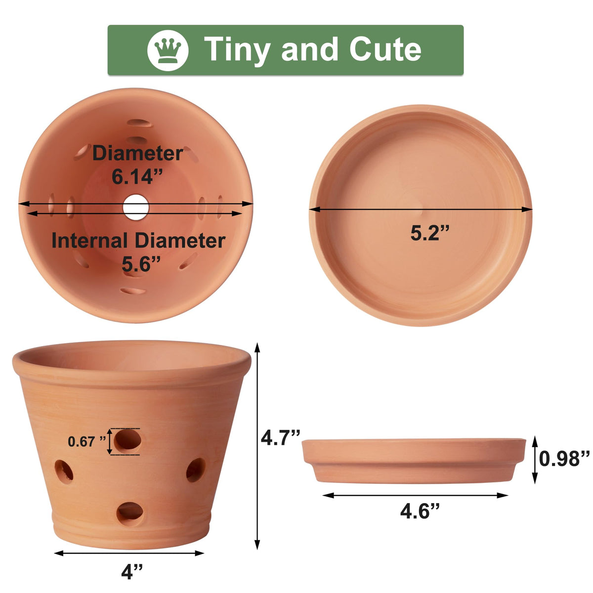 Orceler orchid pot with side holes enhances drainage and root ventilation.