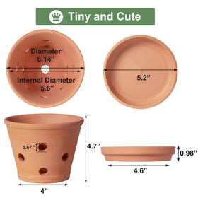 Orceler orchid pot with side holes enhances drainage and root ventilation.