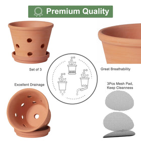 Orceler terracotta pot with saucer catches excess water, keeping space clean.