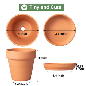 Orceler terracotta pot with drainage hole prevents overwatering for drought-loving plants.