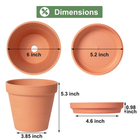 Orceler terracotta pot with drainage hole supports healthy root airflow.