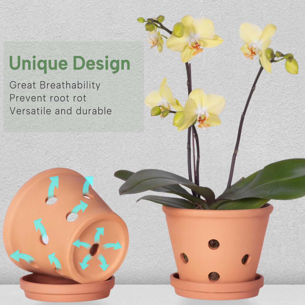 Orceler pots support easier repotting and healthier air circulation.