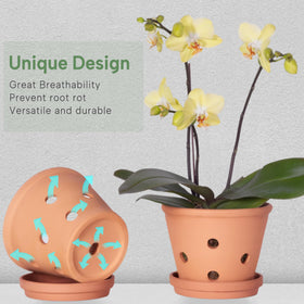 Orceler pots support easier repotting and healthier air circulation.