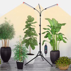 Orchbloom 3Head Grow Light with Stand illuminating indoor plants clearly
