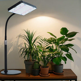 Orchbloom tabletop grow light sunlike brightness boosts leafy growth