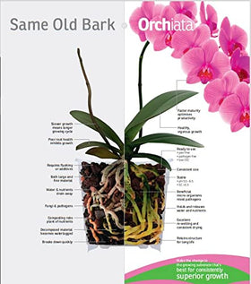 Root anchoring on Orchiata bark highlights the rough surface for roots.