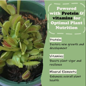 Easy-digest nutrition from Orchid Gene for Venus Flytraps and sundews.