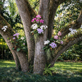 OrchidHug durable green coating resists sun and humidity for long-lasting use.