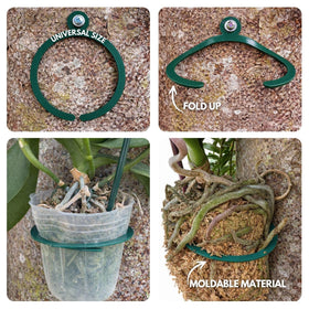 OrchidHug stainless screws included for fast, secure mounting on trees or walls.