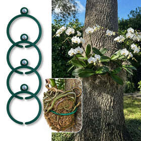 OrchidHug universal ring open design fits every orchid size for a customizable fit.