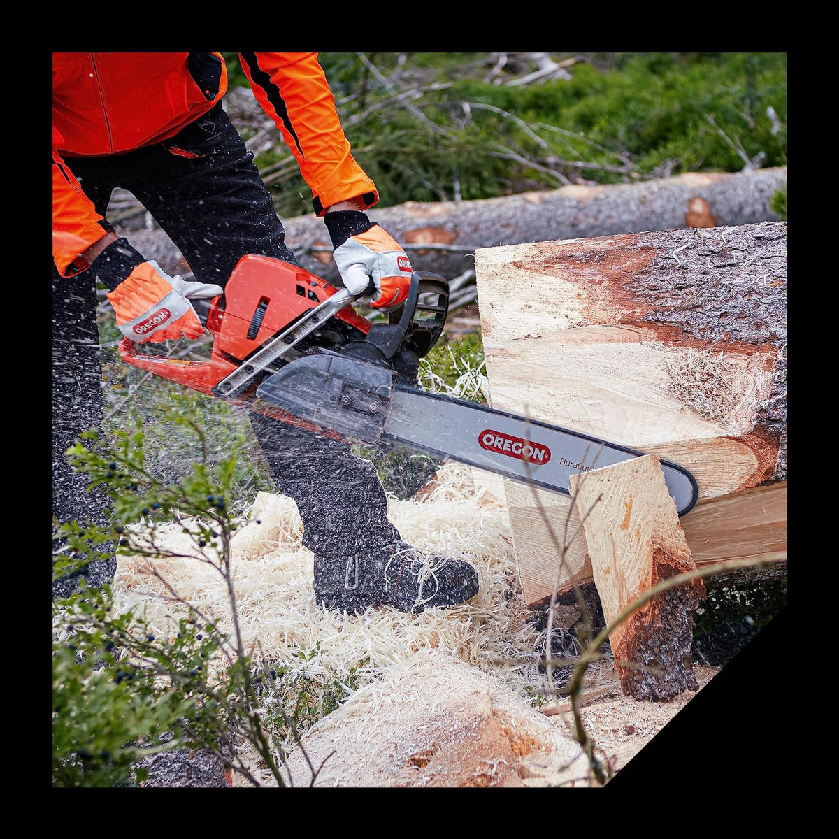 Oregon R40 in use cutting wood during yard work