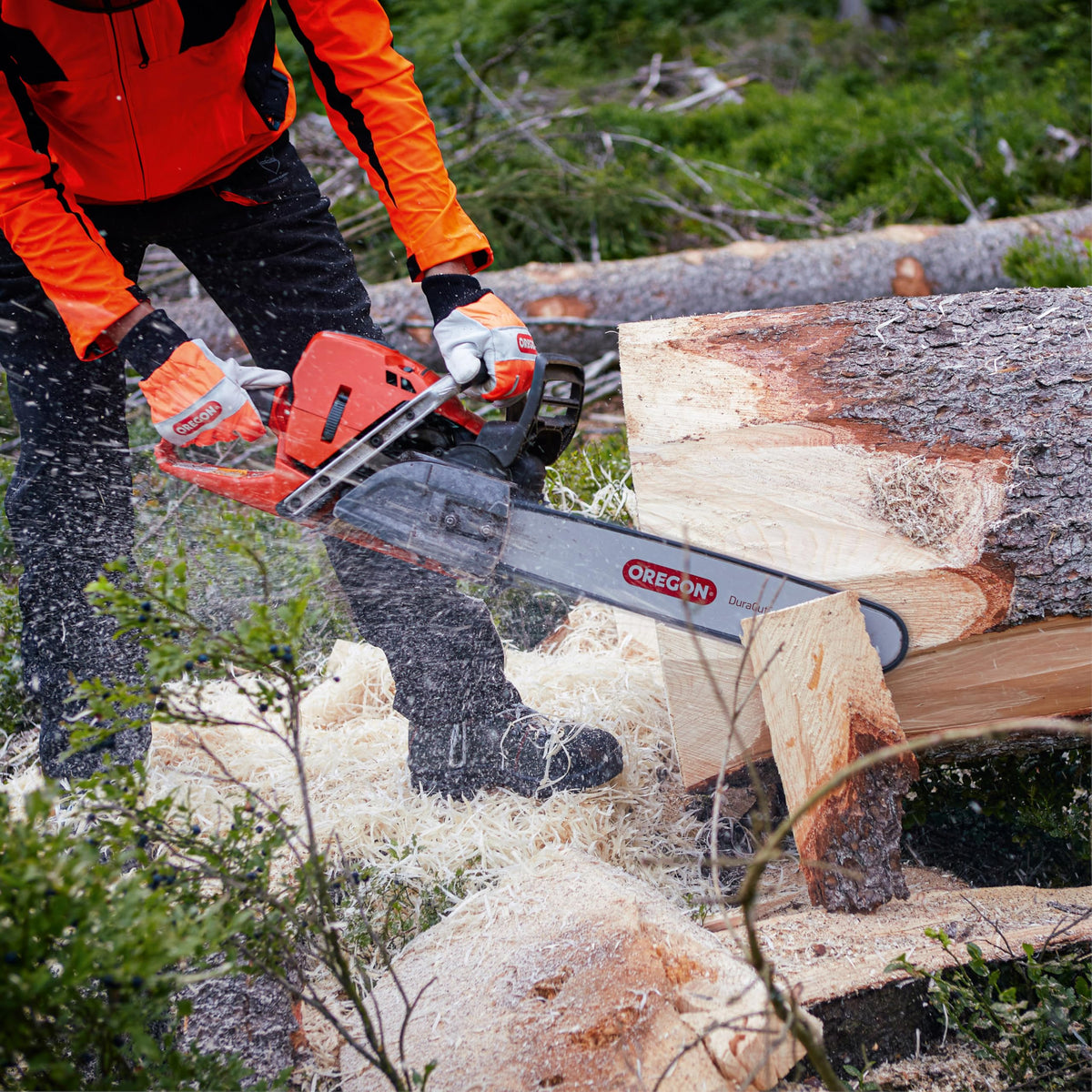 Oregon S62 original equipment quality used on many chainsaws.