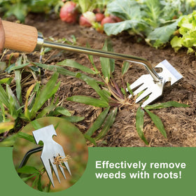 Orelex weed puller tool wood handle closeup highlights comfortable grip.