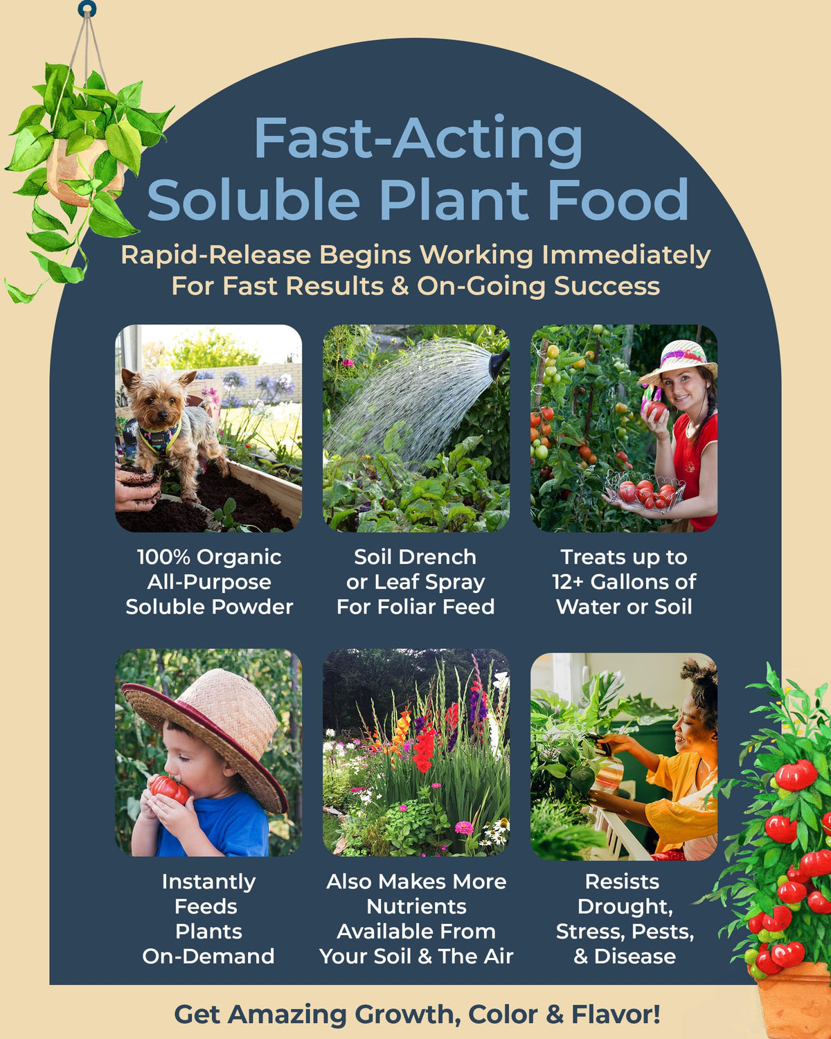 Organic Plant Magic dissolving powder demonstrates ready-to-use nourishment for rapid soil feeding.