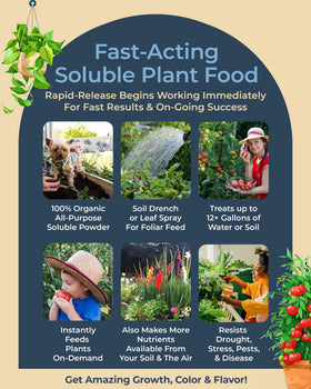 Organic Plant Magic dissolving powder demonstrates ready-to-use nourishment for rapid soil feeding.