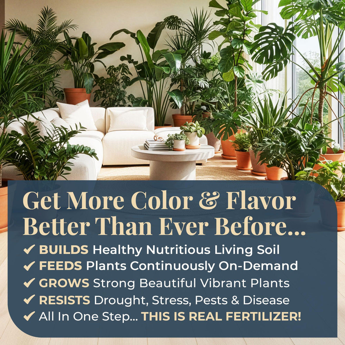 Organic Plant Magic flowering plants displaying rich color and blooms