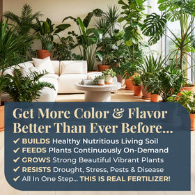 Organic Plant Magic flowering plants displaying rich color and blooms
