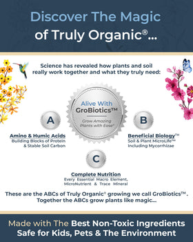 Organic Plant Magic potted plants showcase vibrant growth and color for thriving indoor greenery.