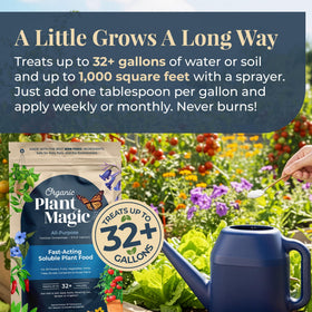 Organic Plant Magic root-zone application ready for transplant feeding