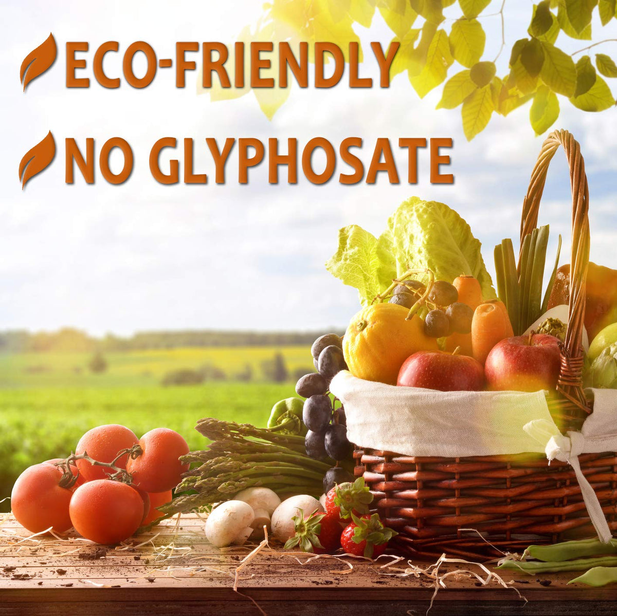 Spraying OrganicMatters weed killer in the yard demonstrates effortless application.